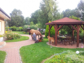 Doppelzimmer im Spreewald